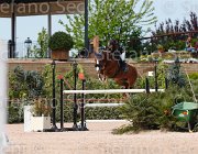 ROMANO LAS VEGAS CampITA2013- S5 0660 : Campionati Italiani 2013, Cattolica, Horse Riviera Resort, LAS VEGAS, ROMANO ROMINA, foto di Stefano Secchi ©